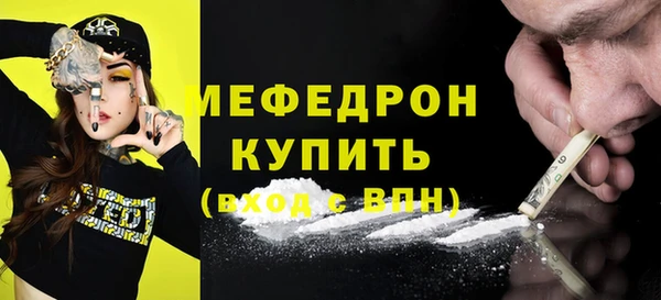 шишки Ельня
