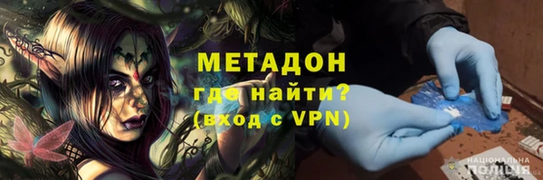 шишки Ельня