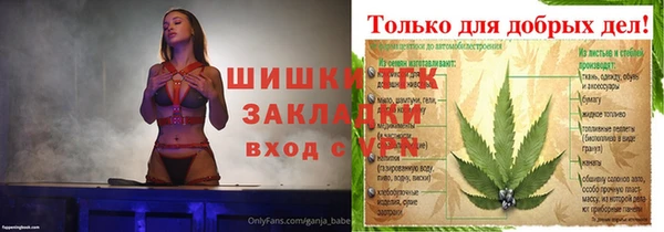 шишки Ельня