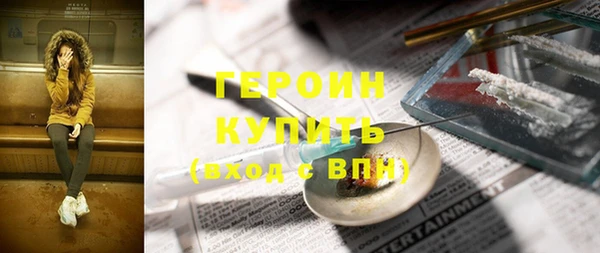 шишки Ельня