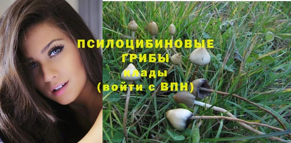 MDMA Елизово