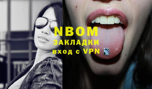 шишки Ельня