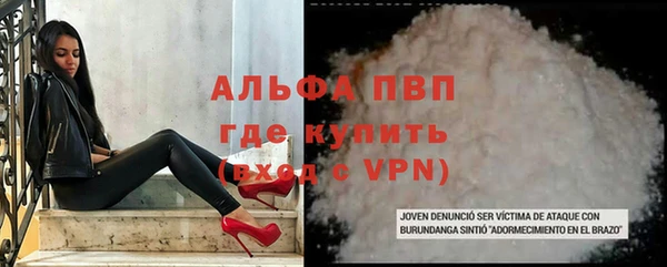 шишки Ельня