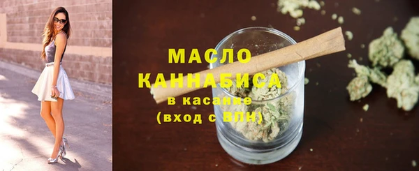 шишки Ельня