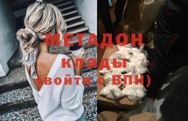 шишки Ельня