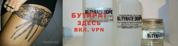 шишки Ельня
