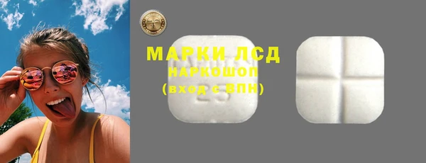 шишки Ельня