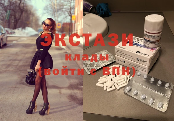 шишки Ельня