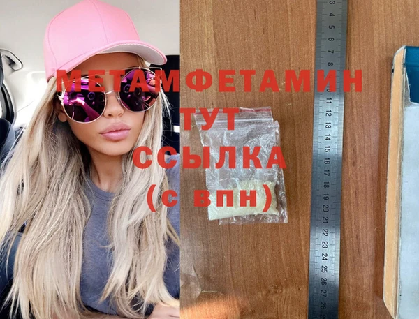 шишки Ельня