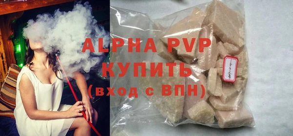 шишки Ельня