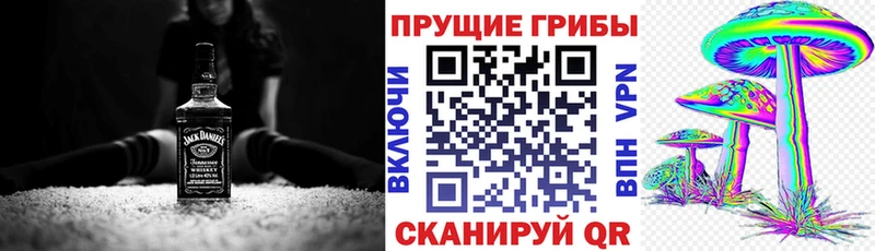 что такое   Заринск  Галлюциногенные грибы Cubensis 