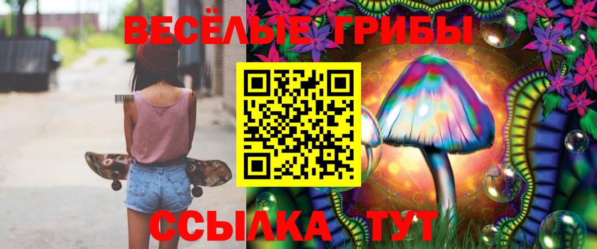 Заринск  Галлюциногенные грибы мицелий  Псилоцибиновые грибы Psilocybine cubensis  Вход с VPN 